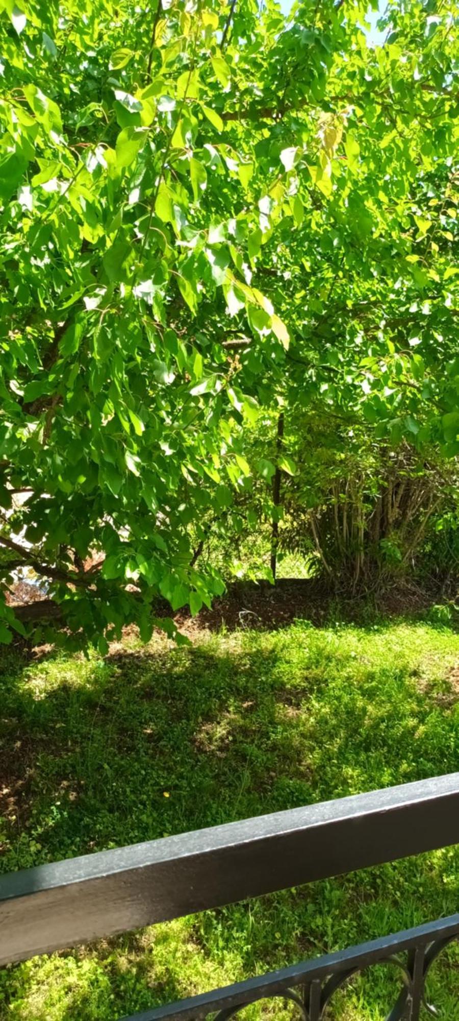Dimitra Apartments G Gouvia Dış mekan fotoğraf