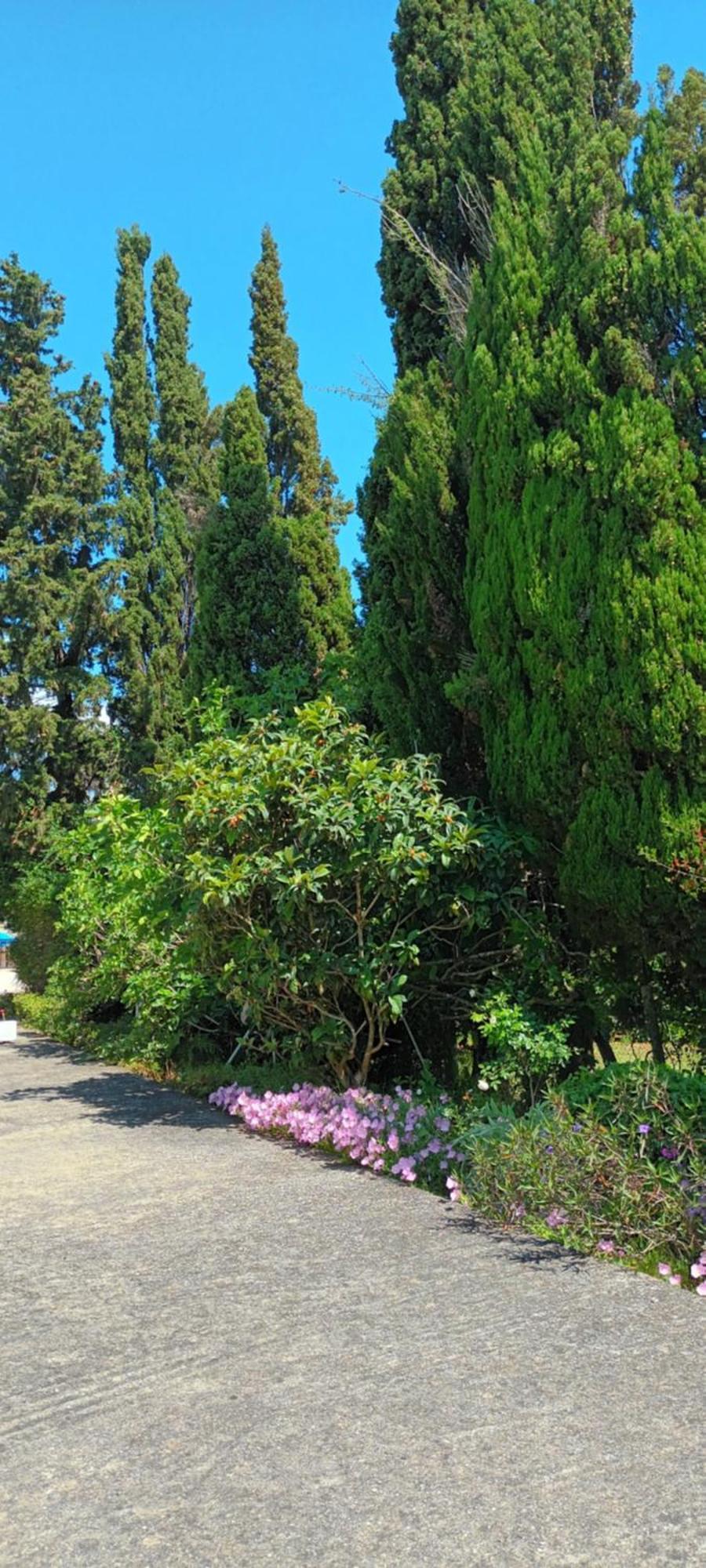 Dimitra Apartments G Gouvia Dış mekan fotoğraf