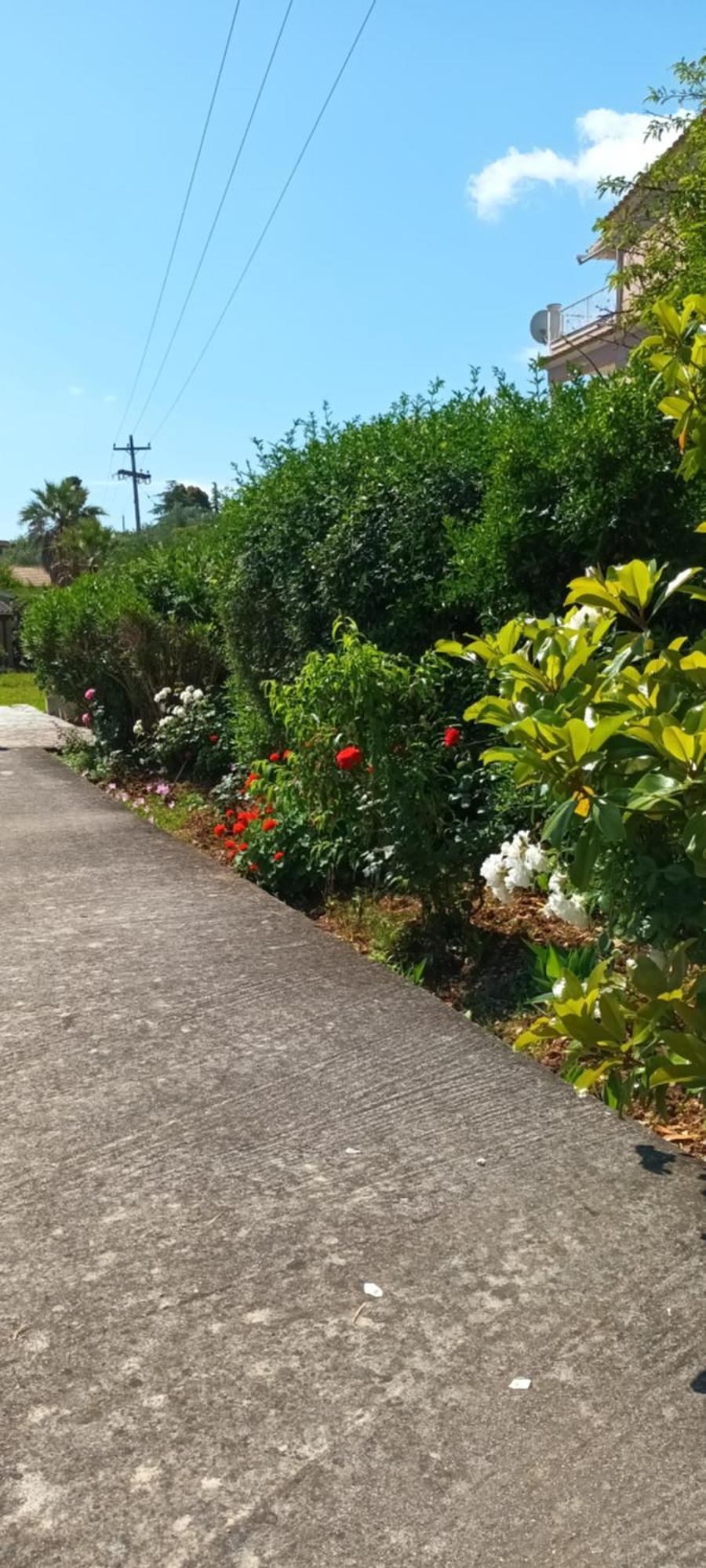Dimitra Apartments G Gouvia Dış mekan fotoğraf