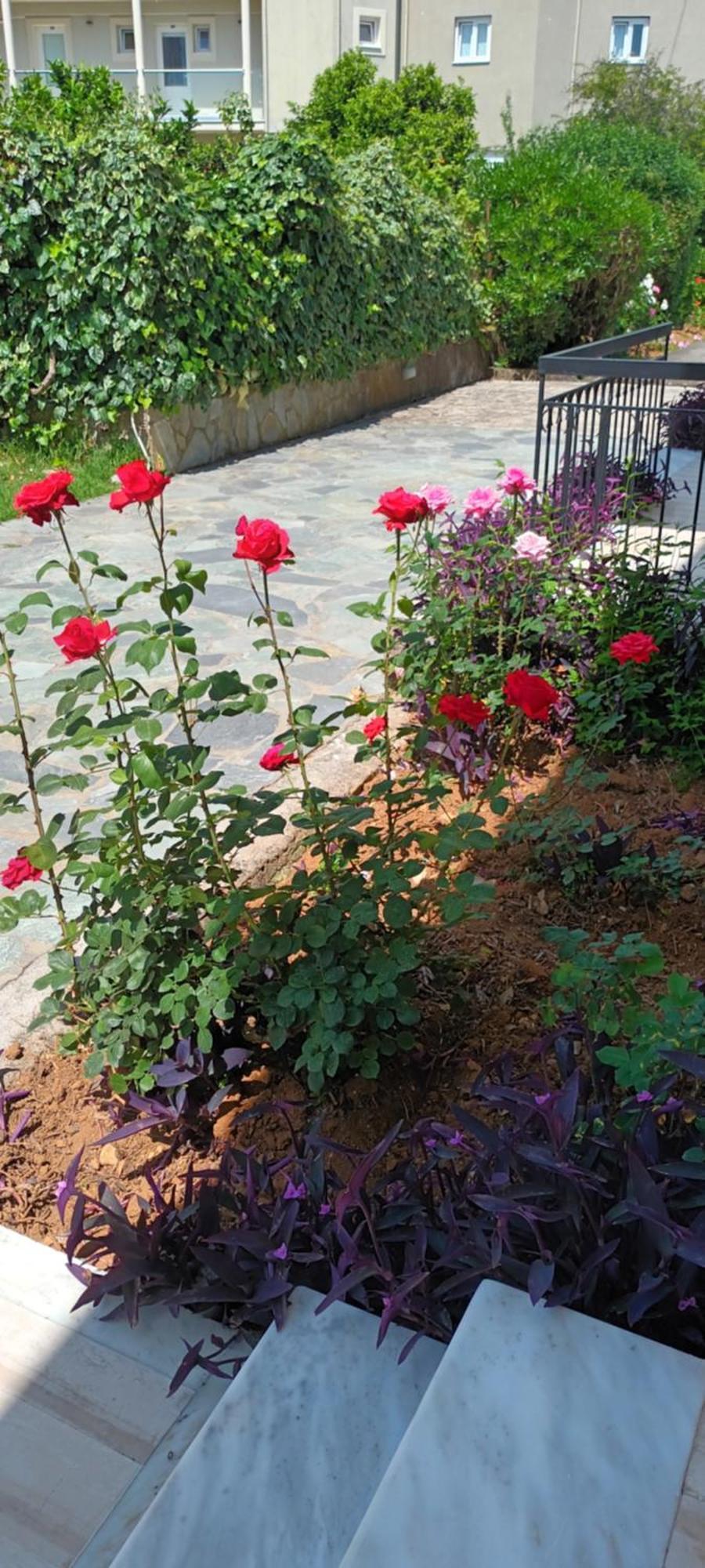 Dimitra Apartments G Gouvia Dış mekan fotoğraf