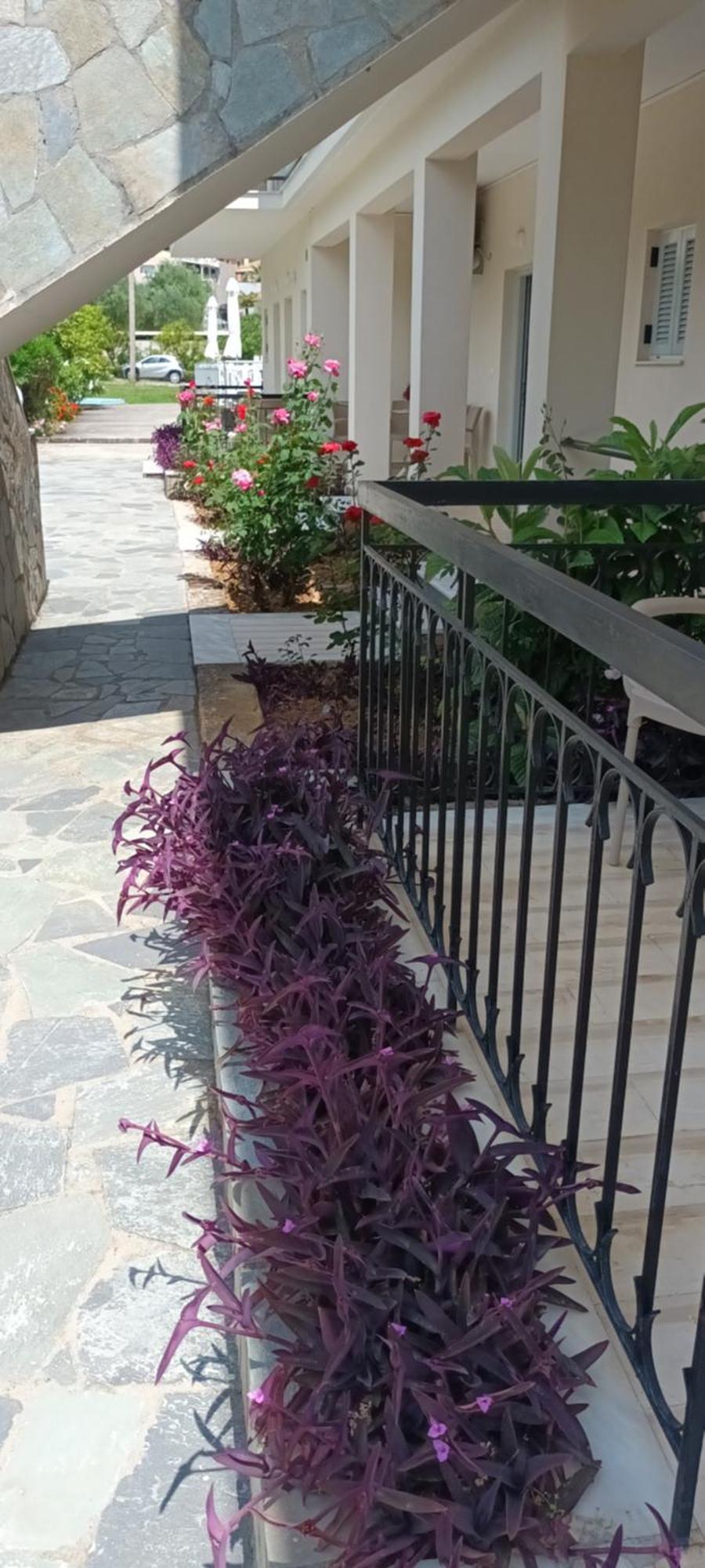 Dimitra Apartments G Gouvia Dış mekan fotoğraf